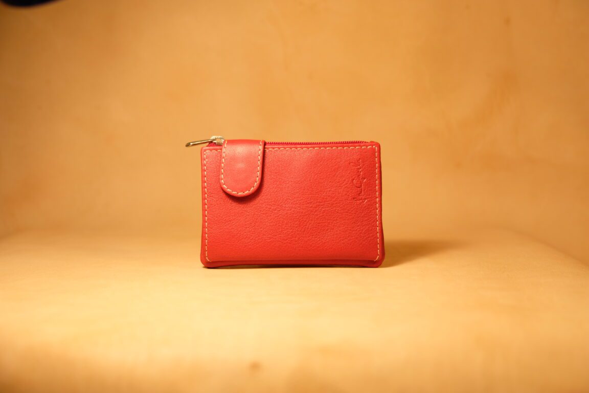 Cartera de piel mini con cierre